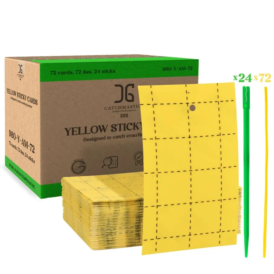 Yellow Sticky Card