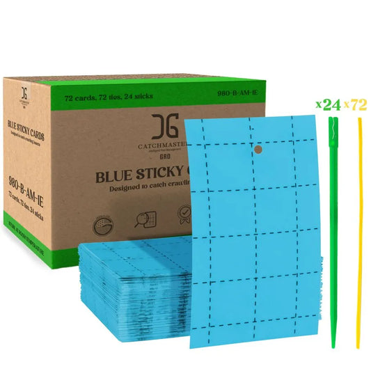 Blue Sticky Card